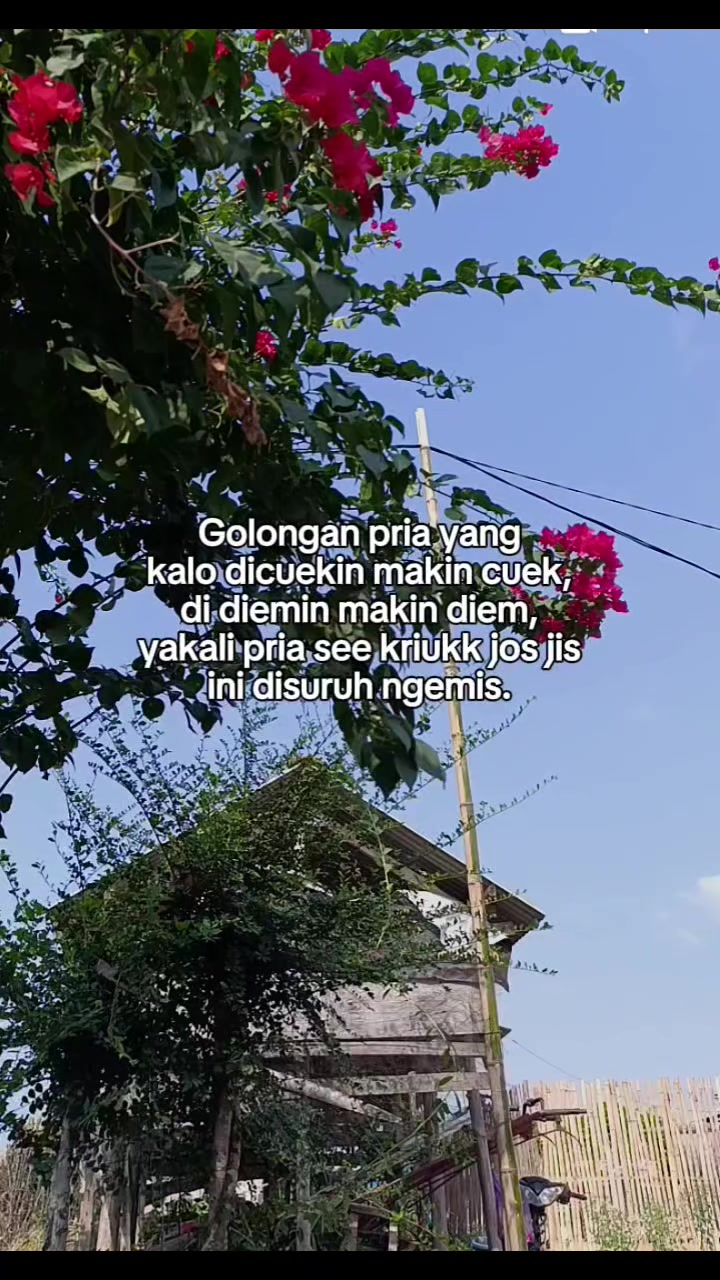 @gepeng