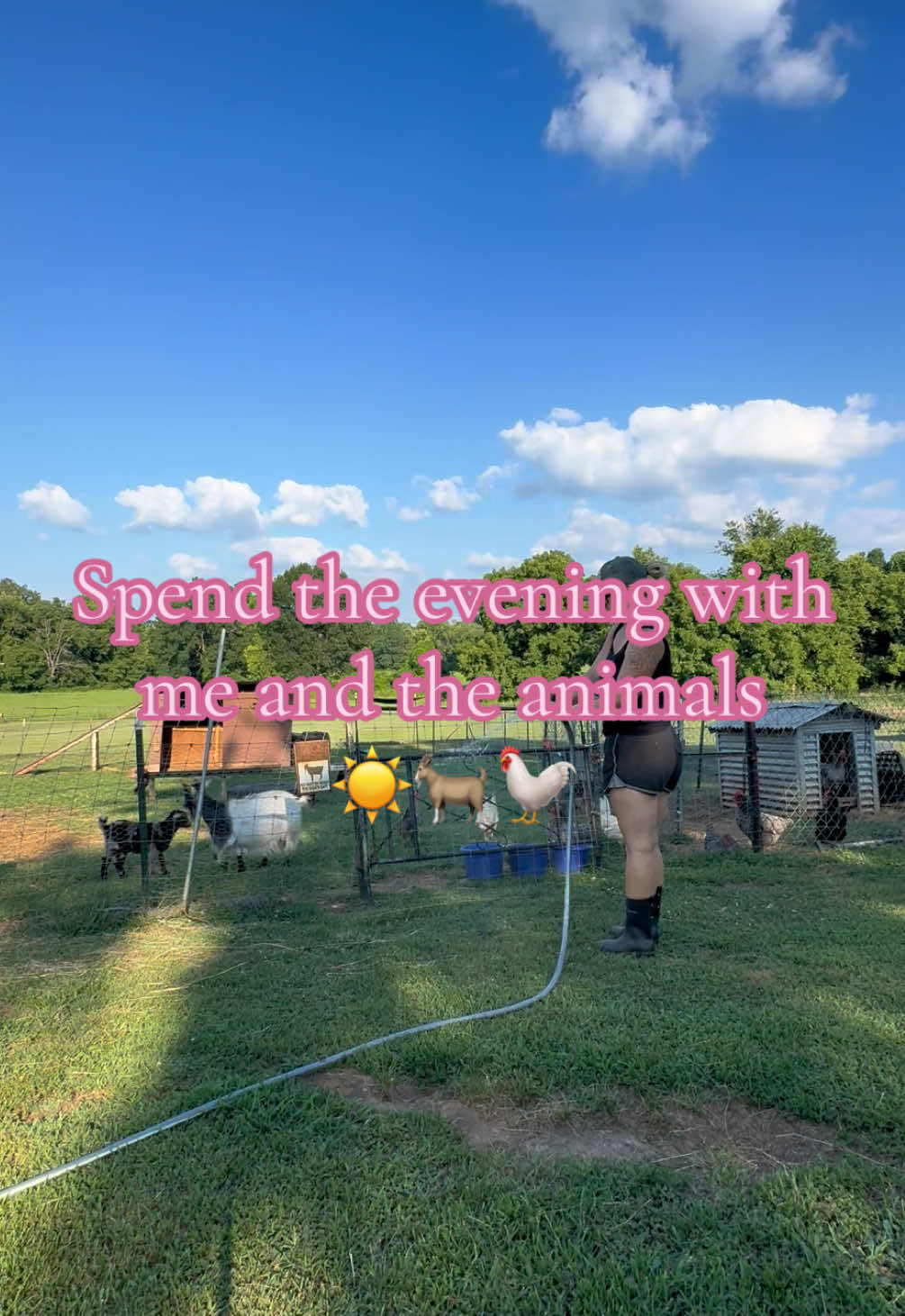 @Momma Tay🐐🐓👩🏼&zwj;🌾💕