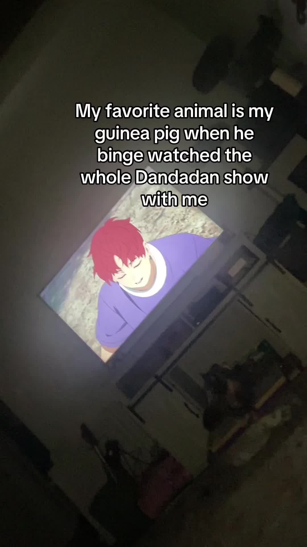@secret_anime_lover
