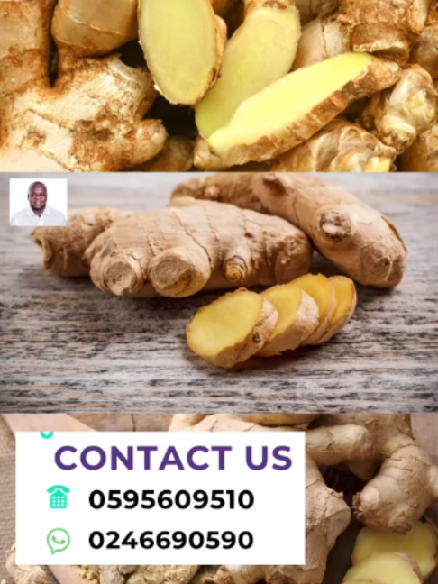 @Agadarko Media