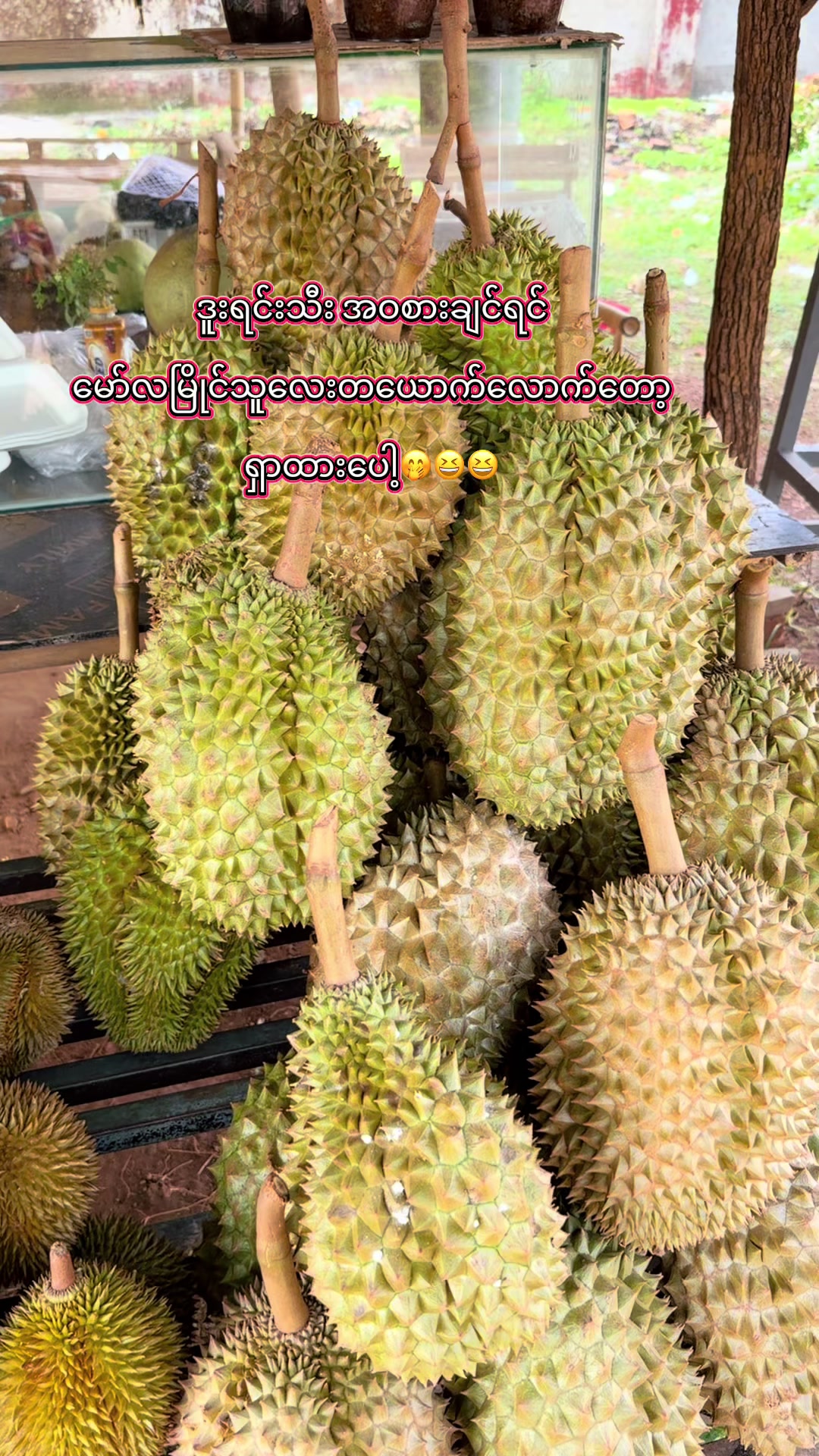 @Dr Thinzar (vlog by Thinzar)