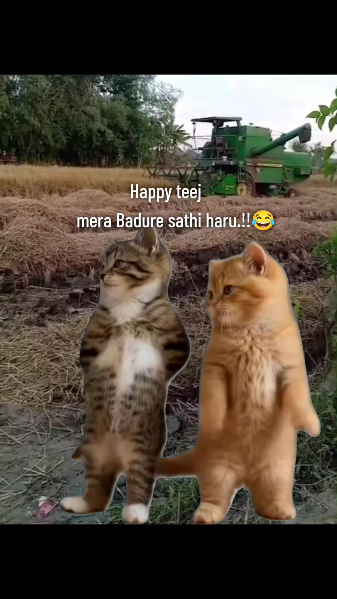 @sayug adhikari 😊🇬🇧🇳🇵