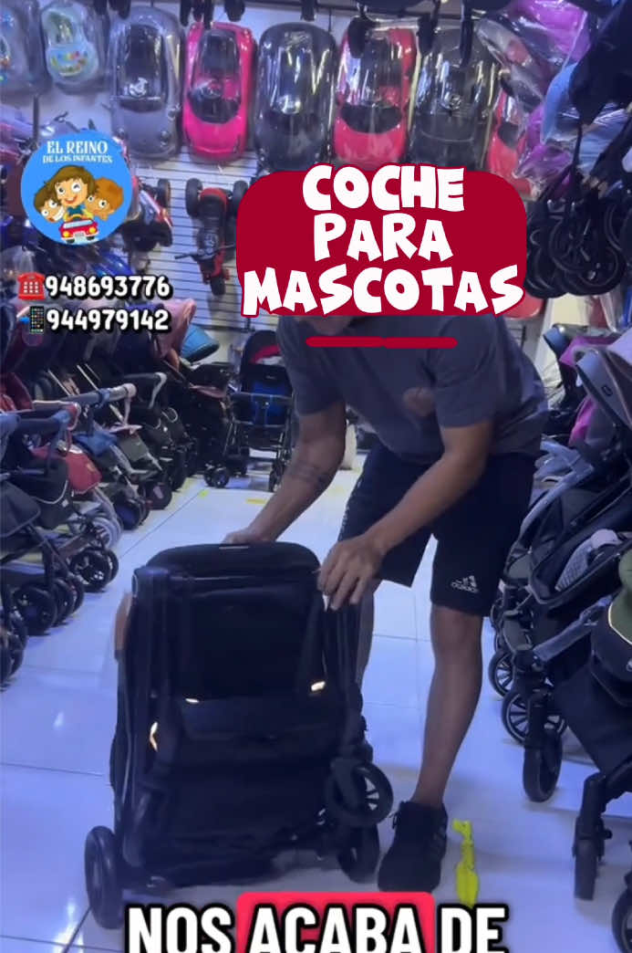 @Reino de los Infantes