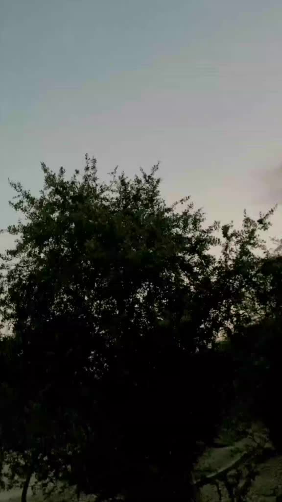 @𝗞𝗔𝗦𝗛𝗜𝗙𝗢𝗢🚩