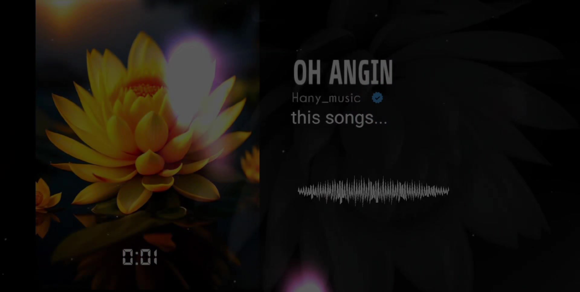 @𝙷𝙰𝙽𝚈 𝙼𝚄𝚂𝙸𝙲 𖦤