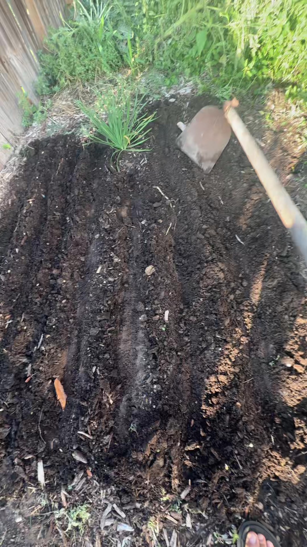 @themagicvalleygardener