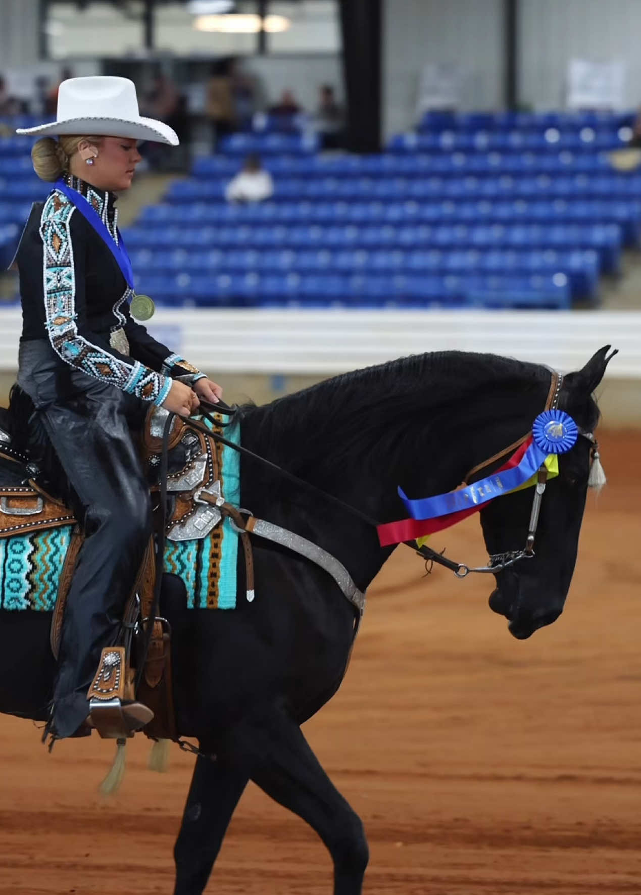 @Miranda | Equine Photographer