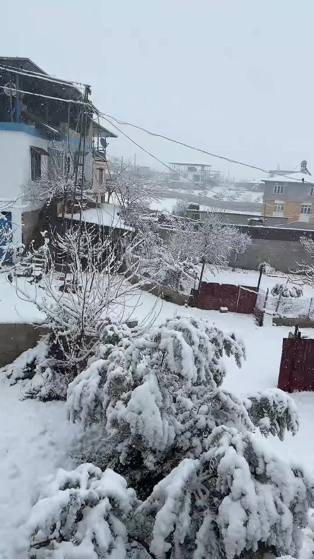 @&Ouml;kkeş &Ouml;zdemir