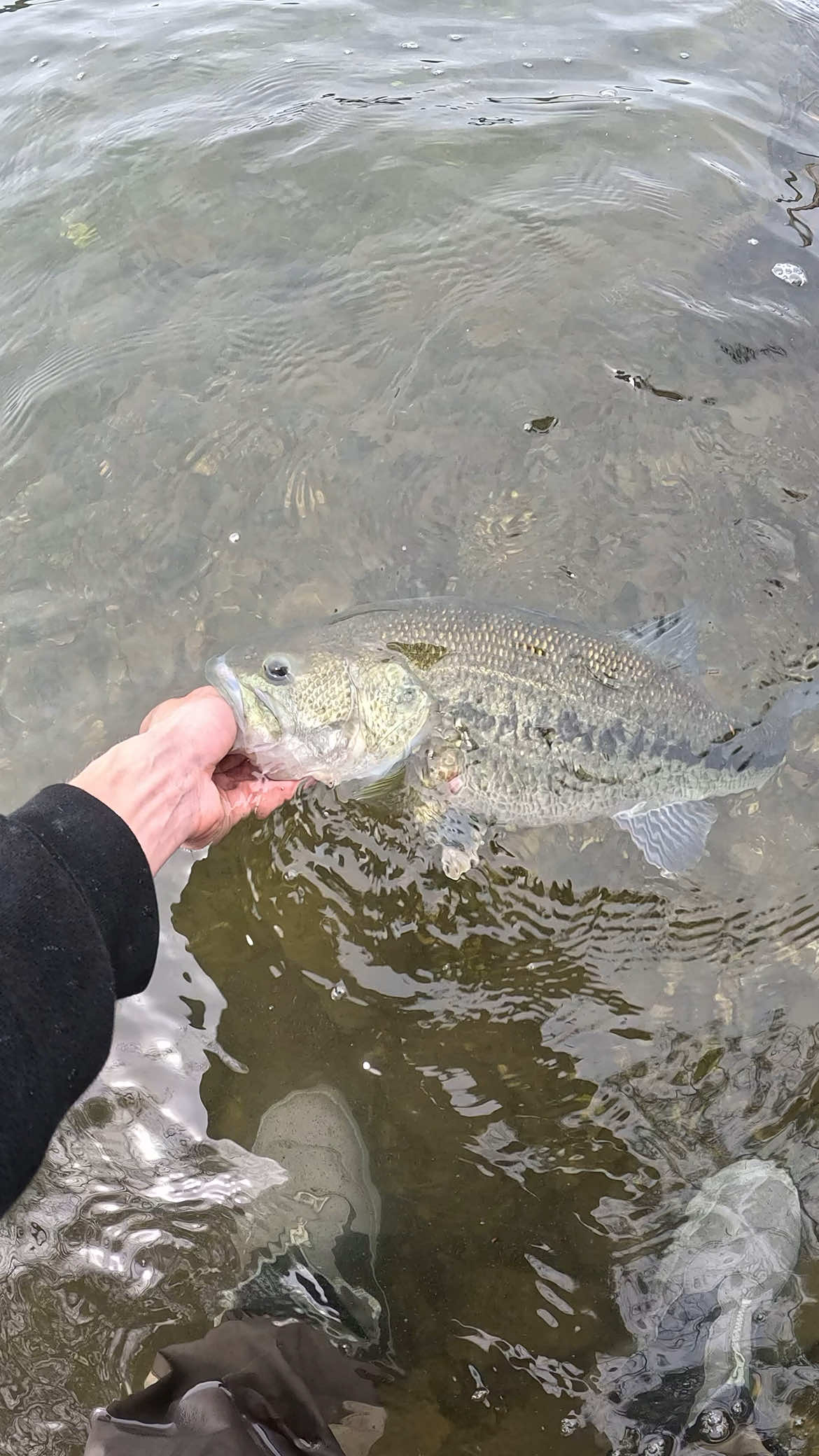@sams.fishing_