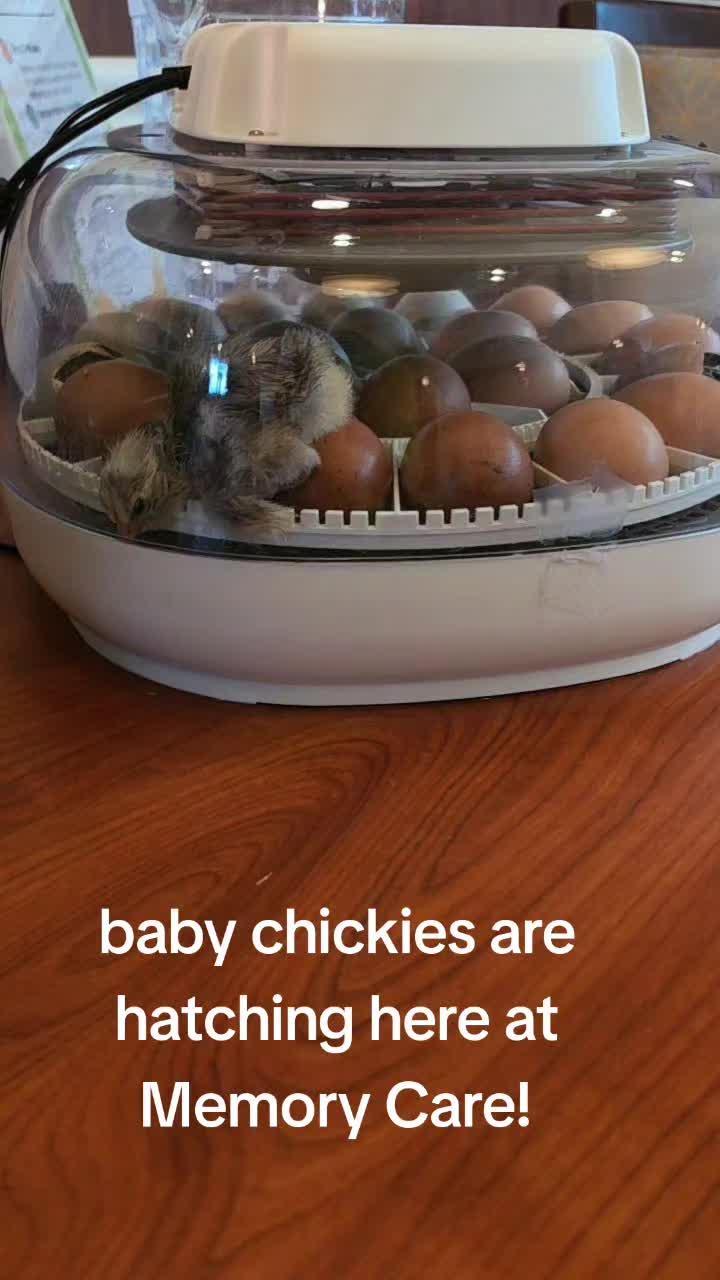 @FoxyRoxyLovesYou