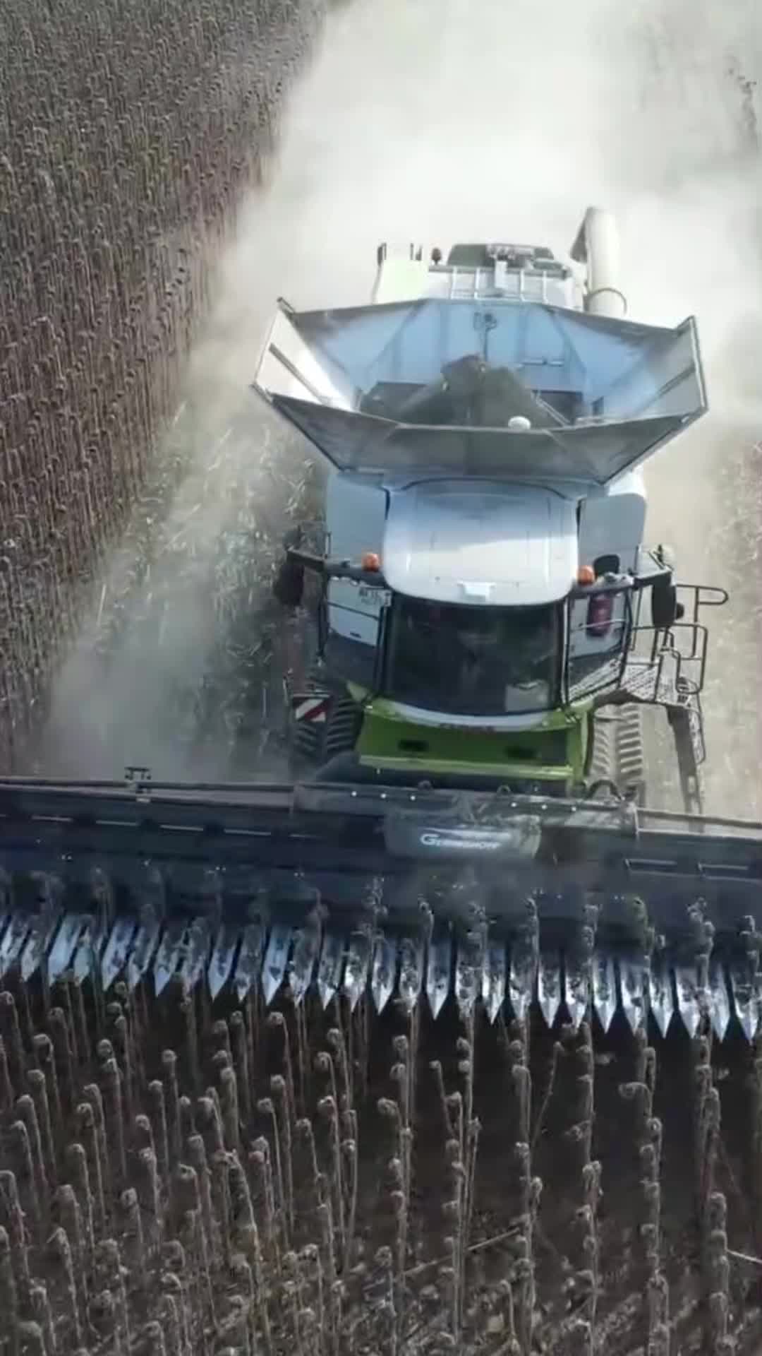 @🇺🇦🌾Agriculture🌾🇺🇦