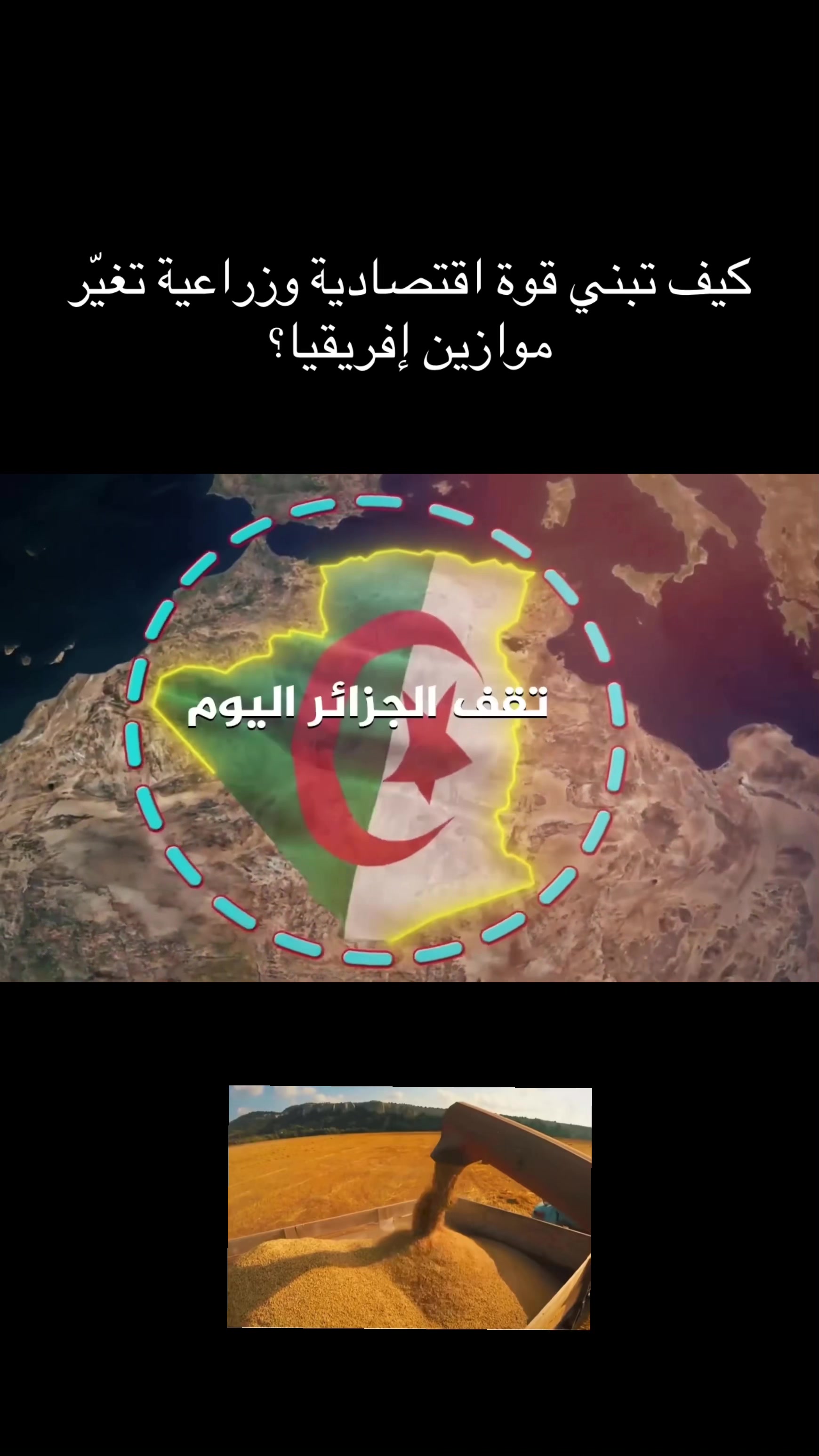 @algerianews99