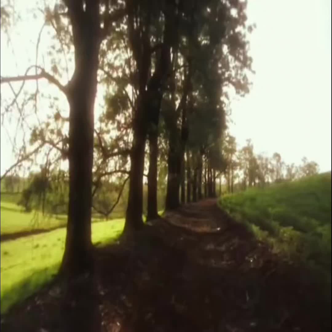 @квиакс