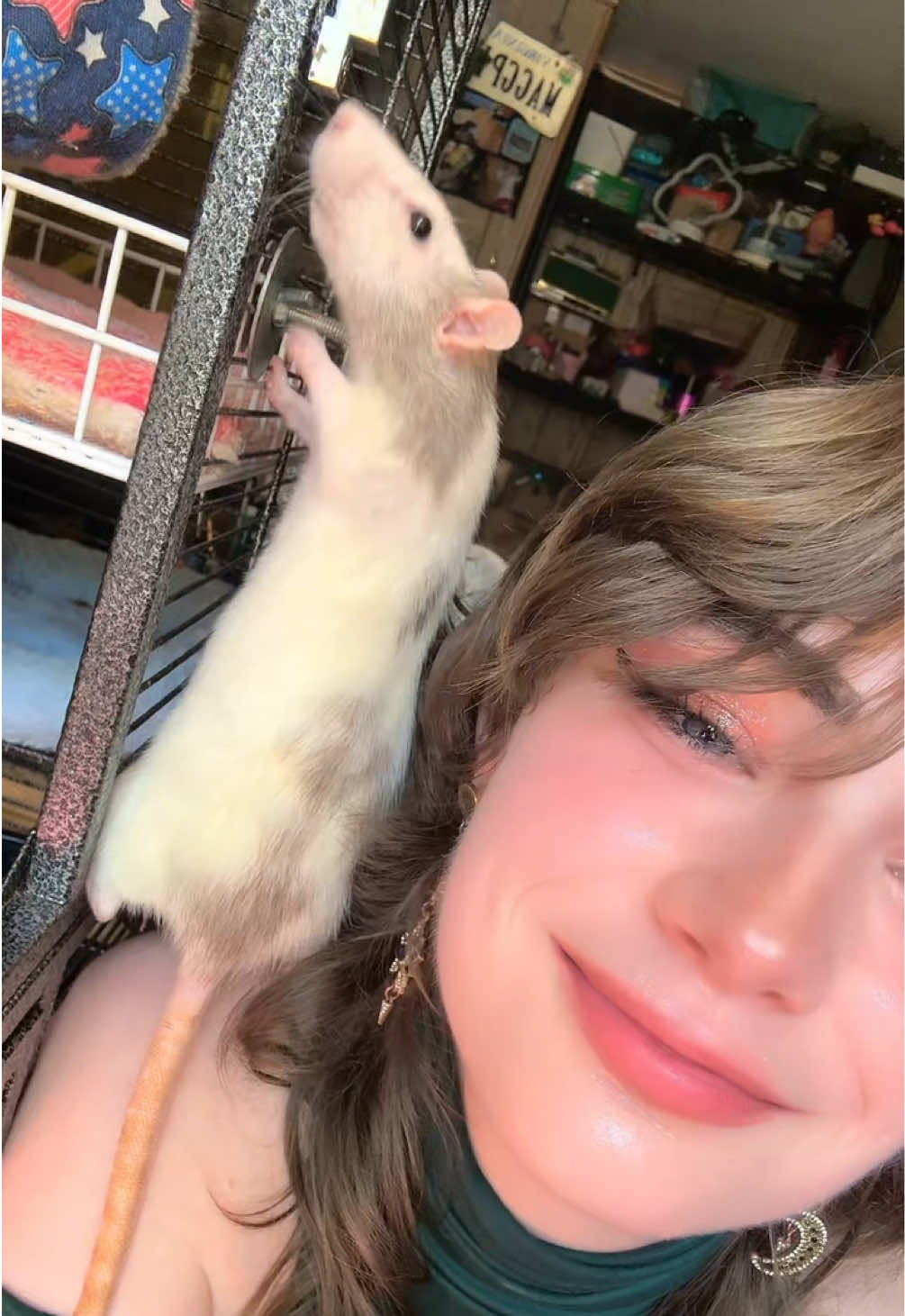 @lookatmyrodents