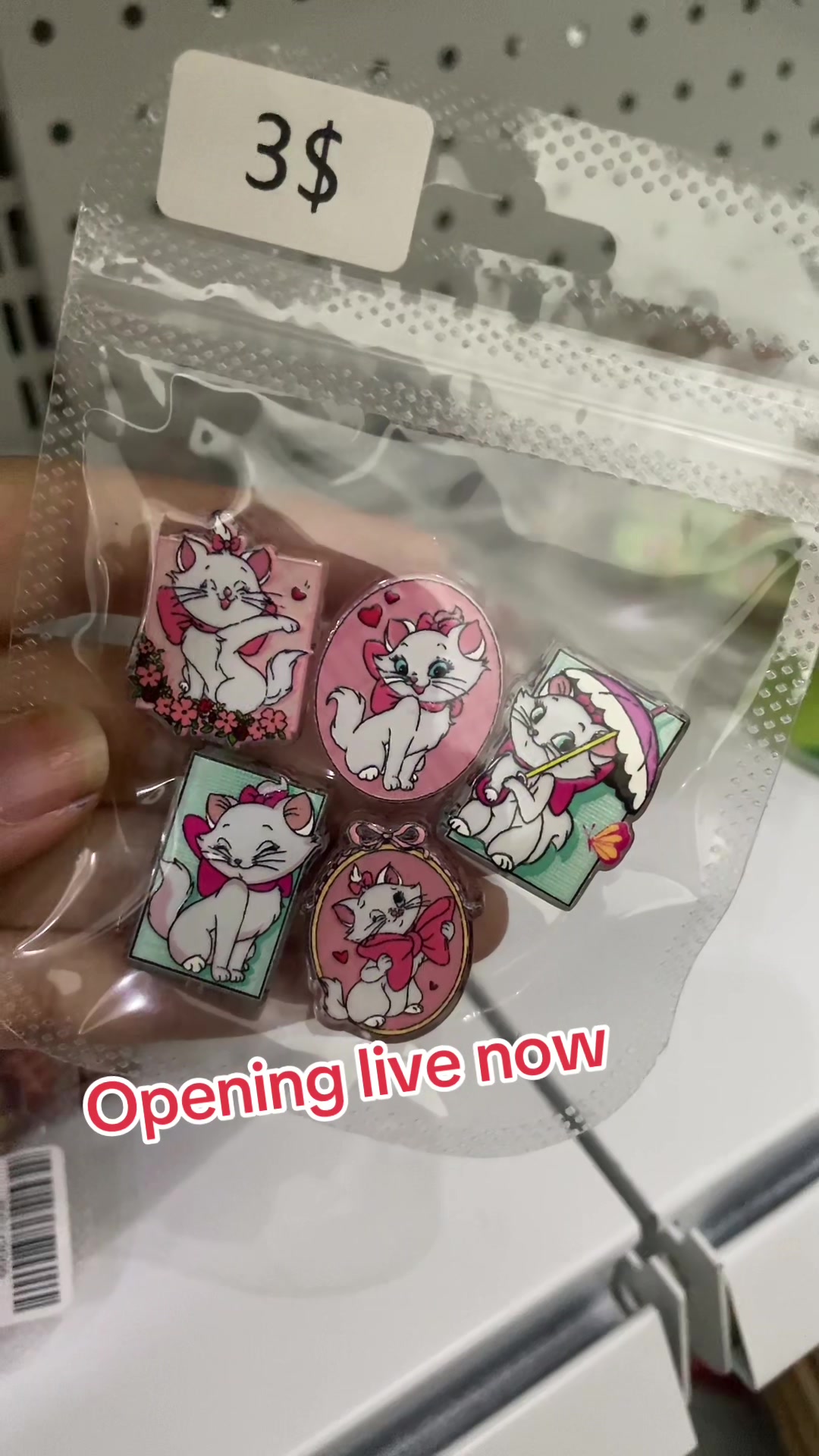 @Mingo acrylics DIY 🎀