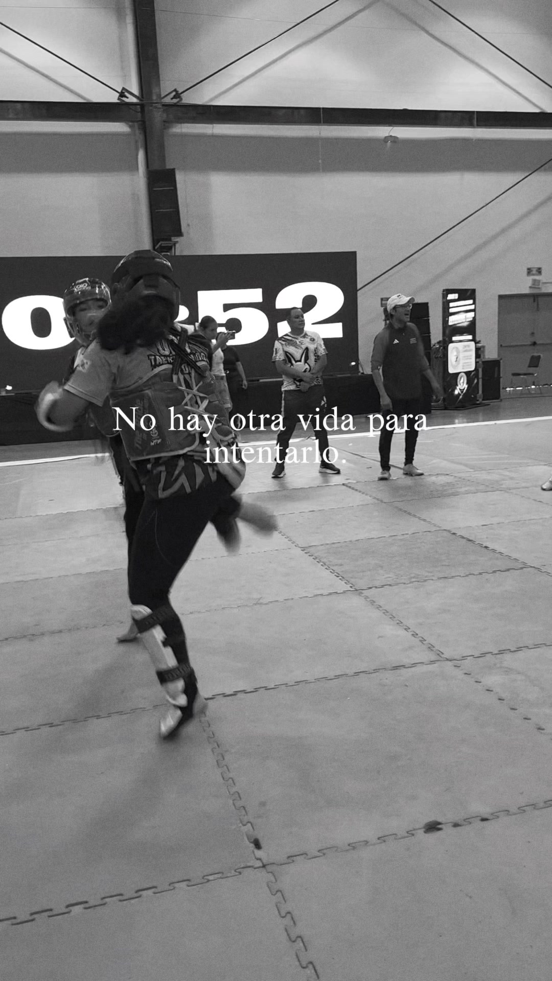 @taekwondolionsteam