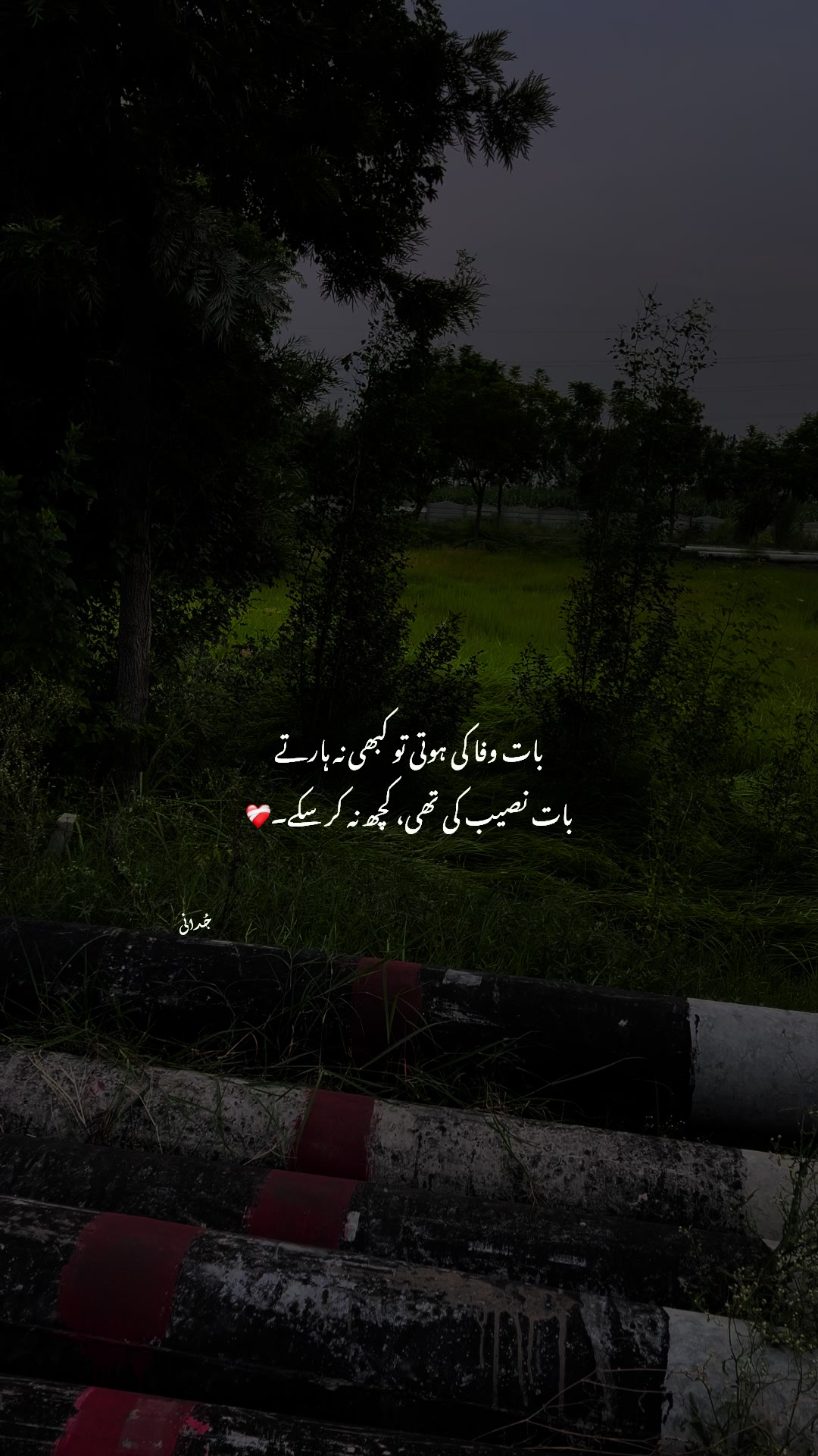 @𓆩 Aabi 𓆪