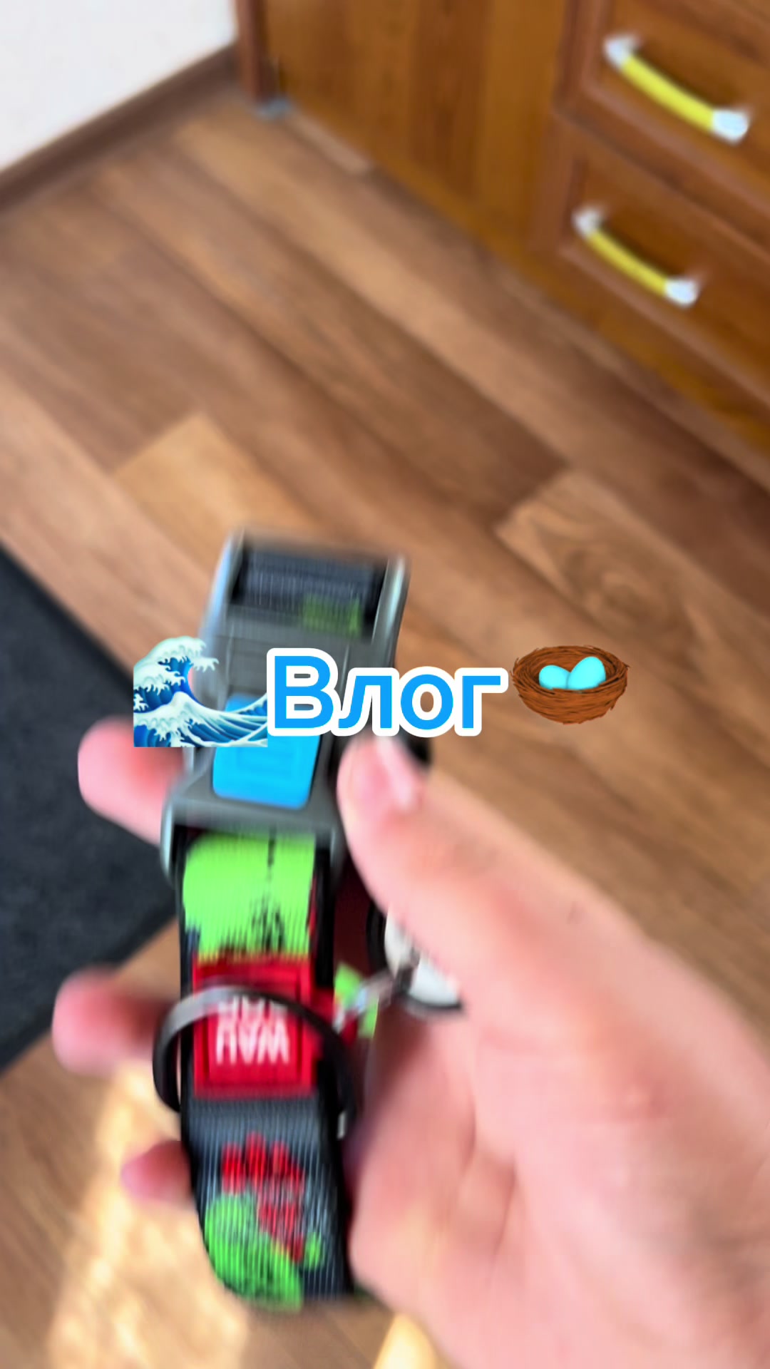 @Той самий Хаскі🐺