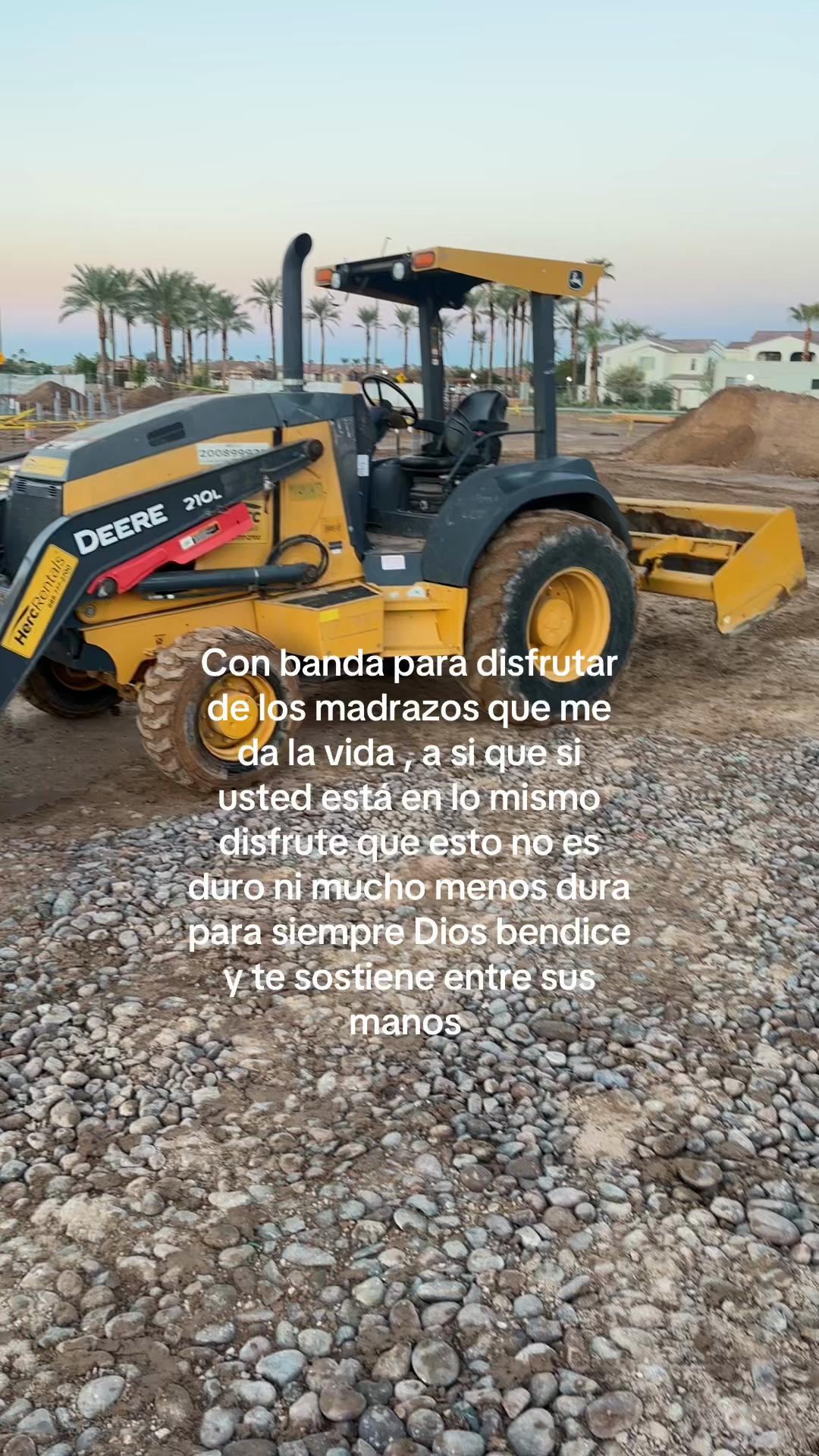 @Cristobal lince