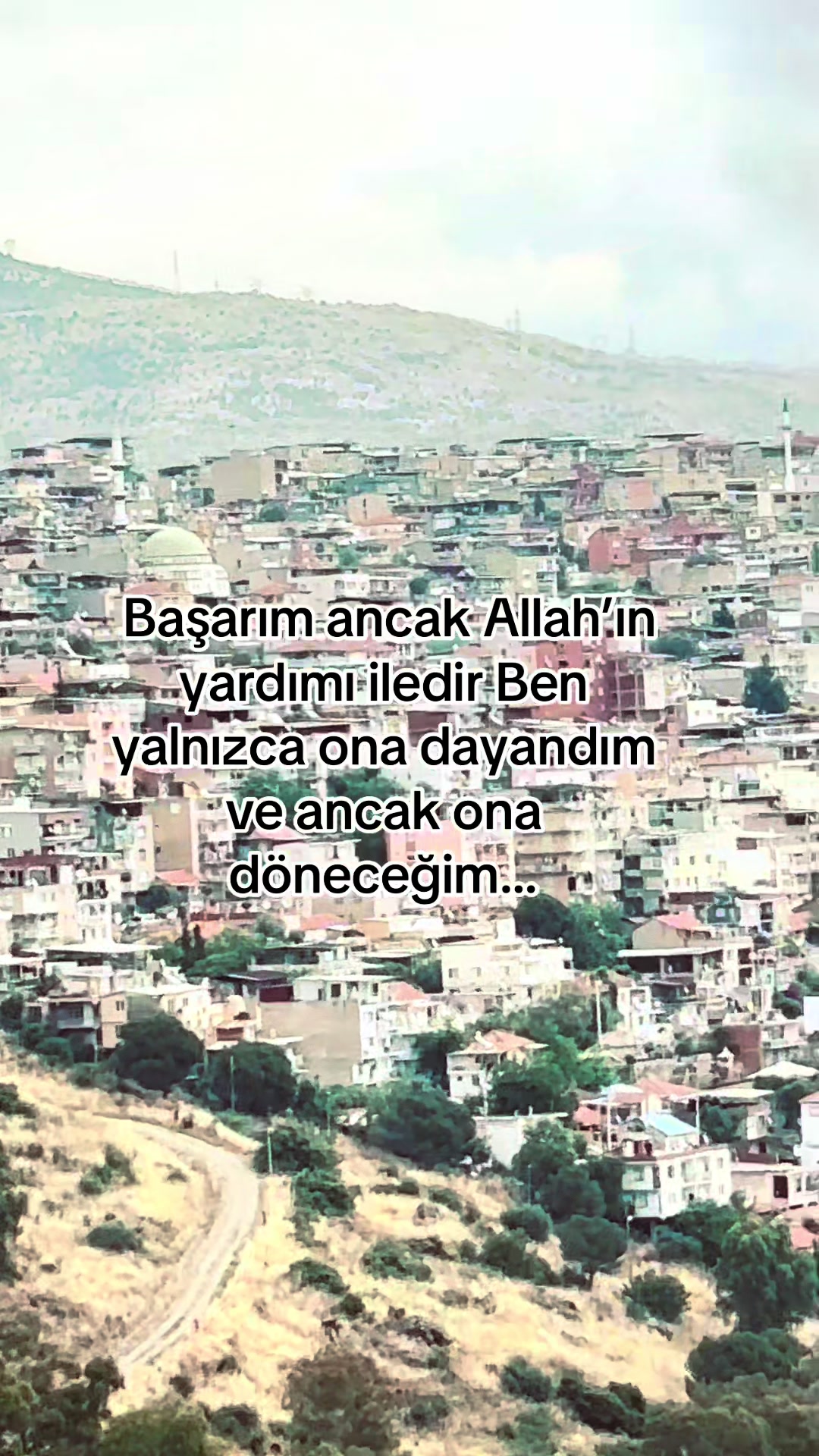 @storhanem63.01