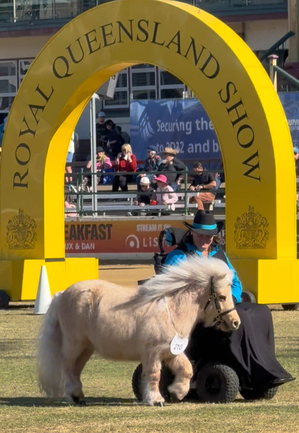 @Ekka (Royal Queensland Show)