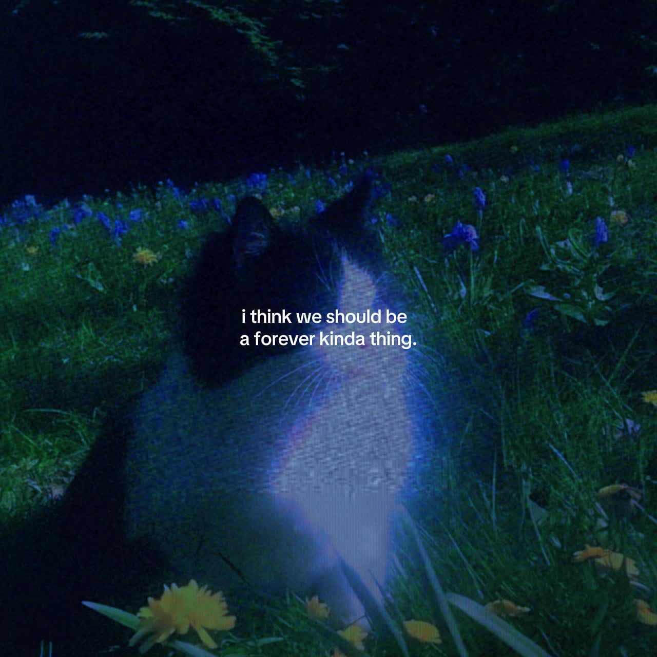 @Spotify: LXNYA