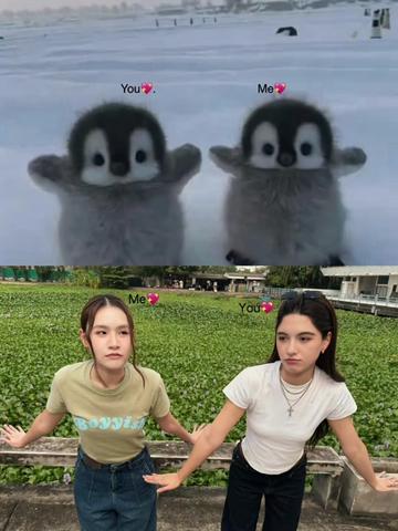 @๐๐พ๐พ๐ผ๐ฑ๐ป๐ด ๐ถแ