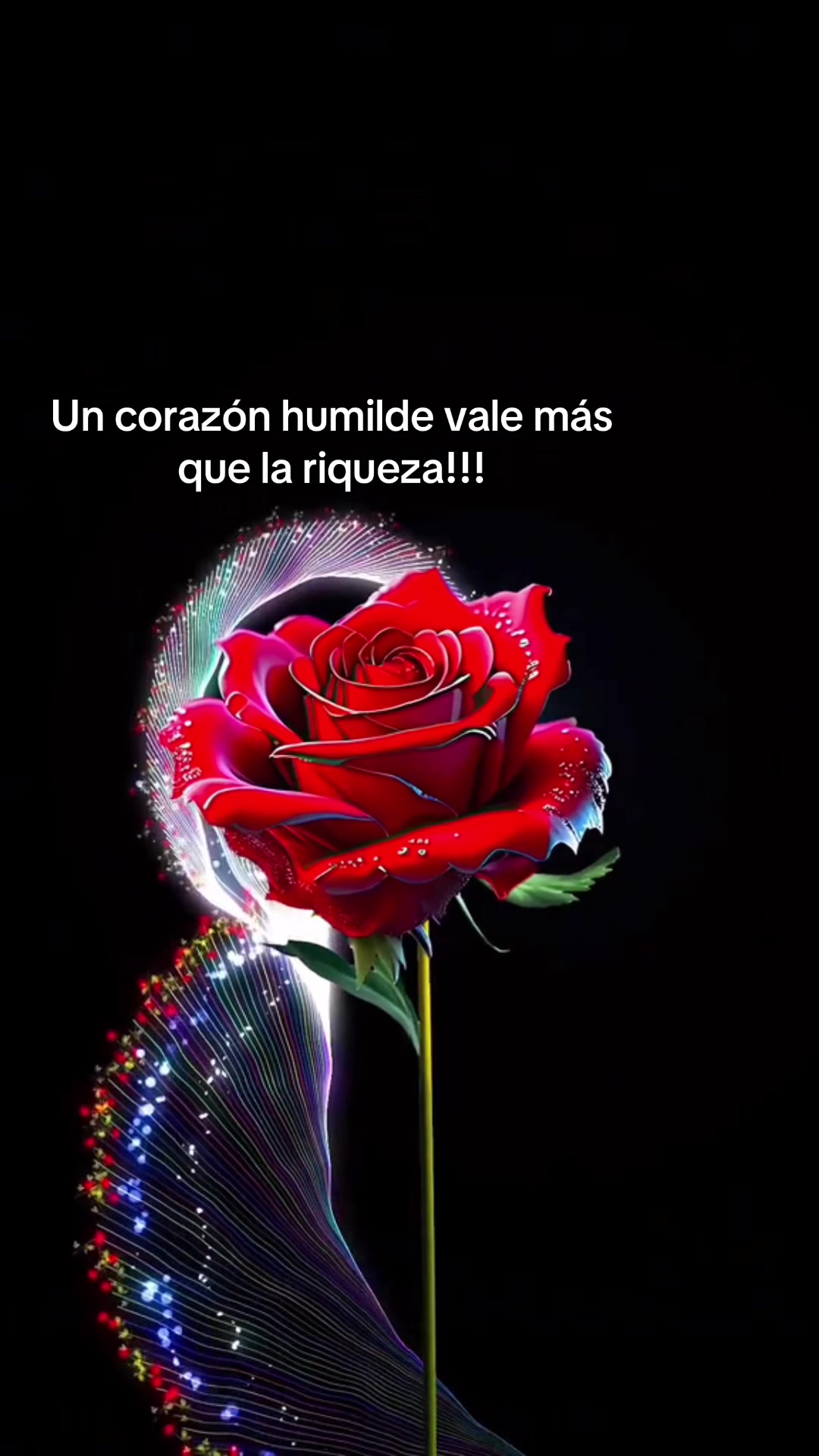 @Lucy Reyes