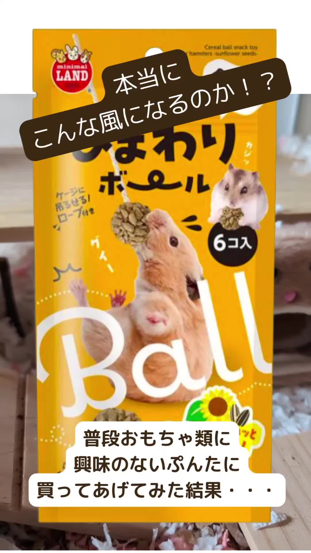 @鼻声🐹主婦
