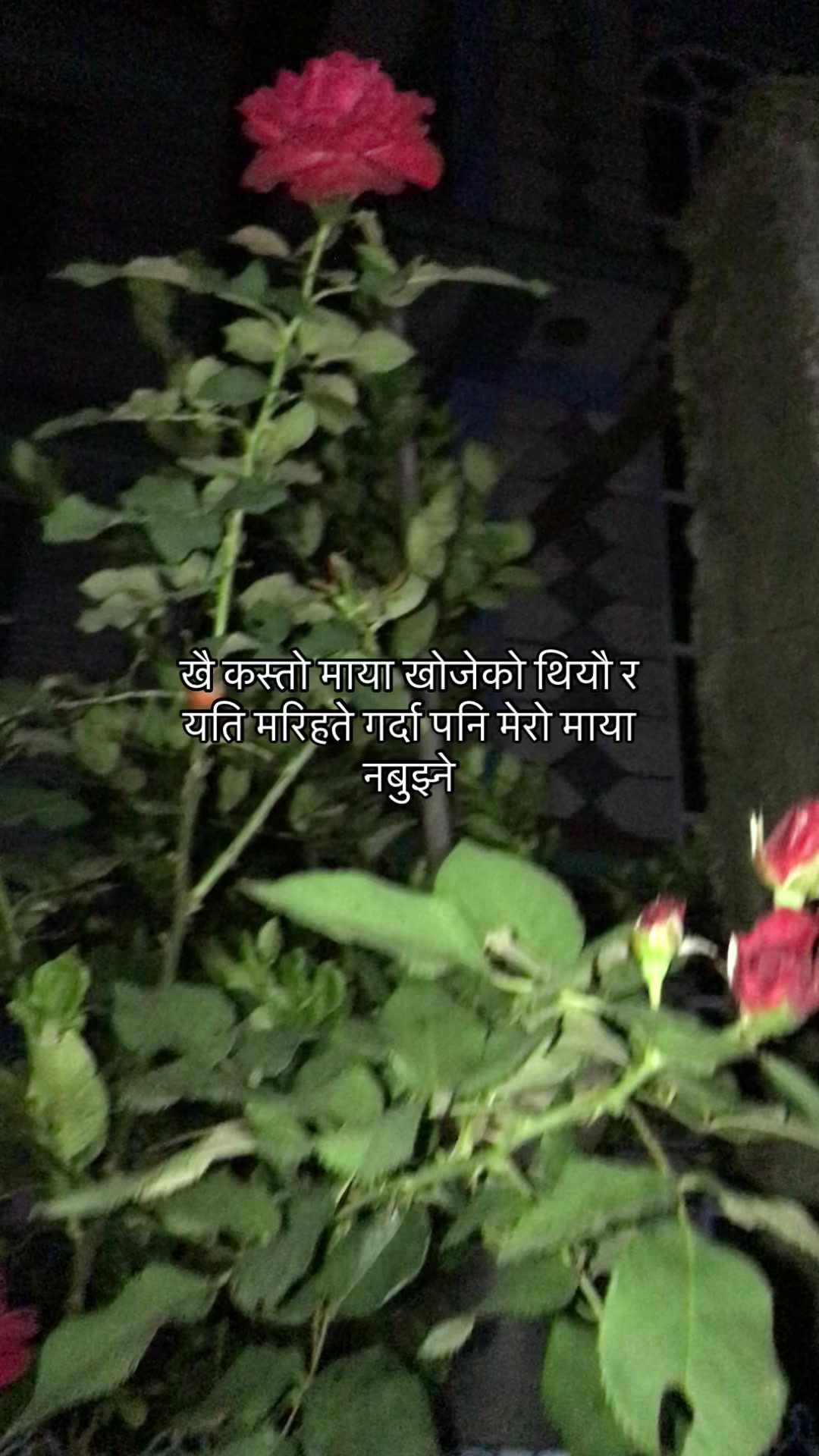 @Sangamyyyy🦅