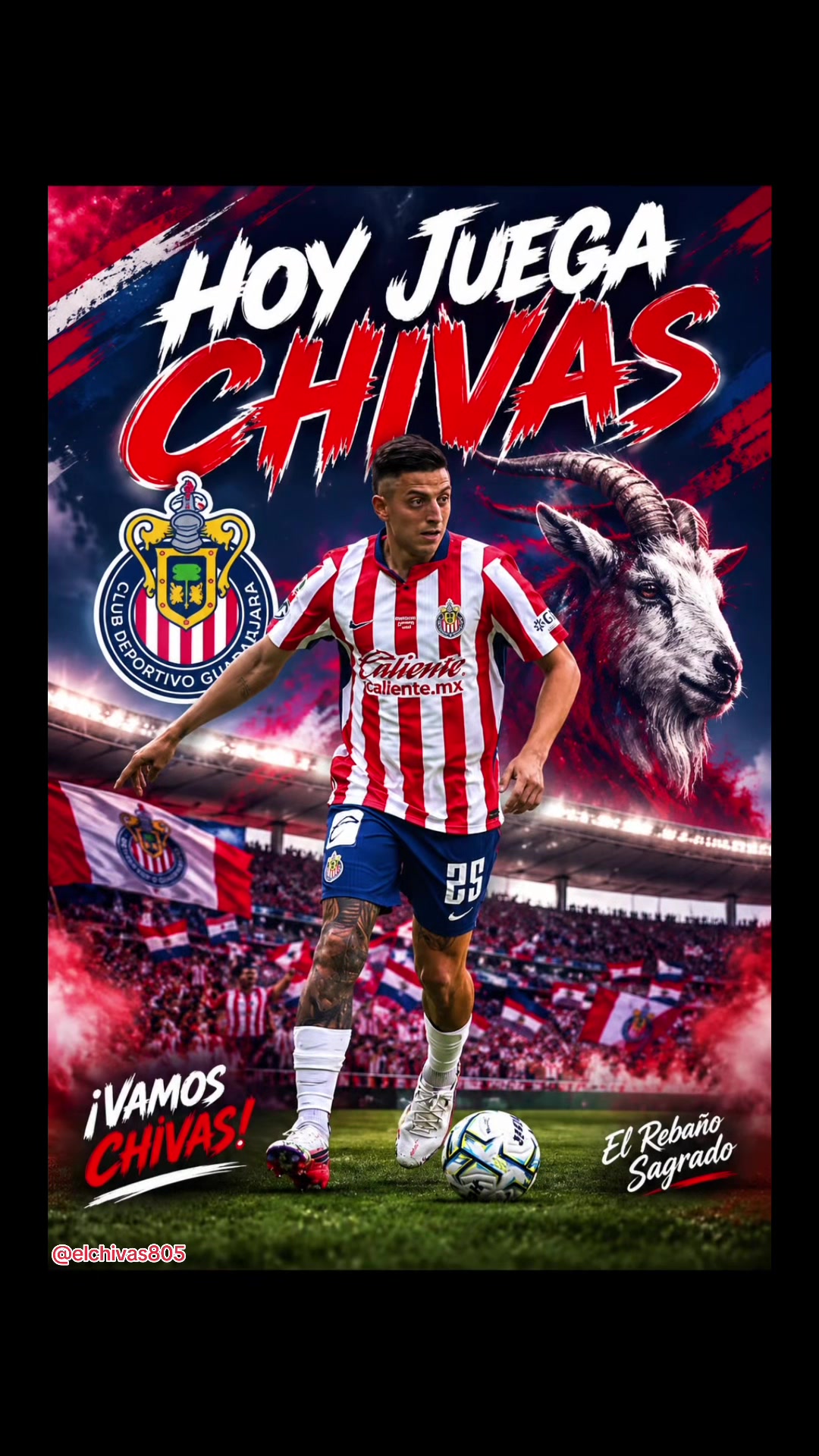 @elchivas805