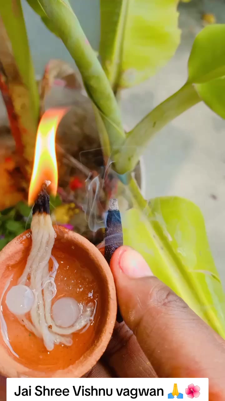 @SharbanSunitaRoyYadav861🤞❣