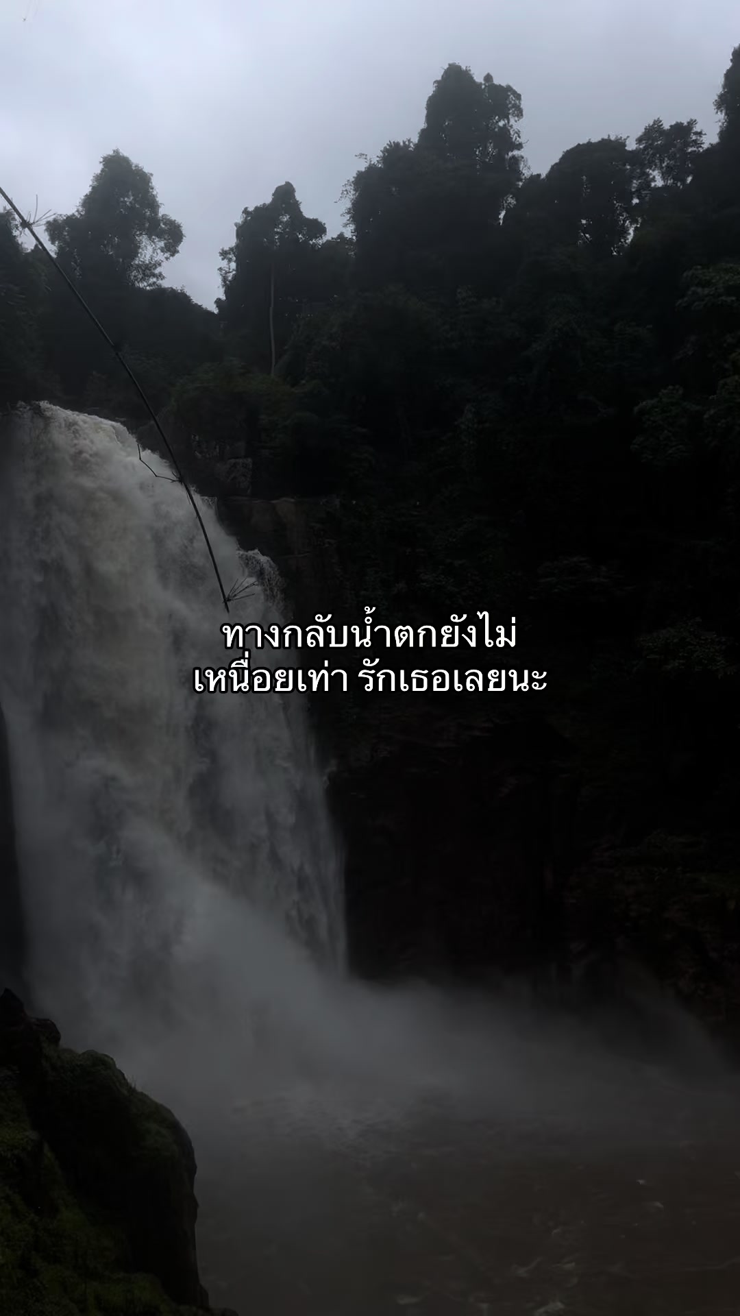 @เธรดของไอขิง 