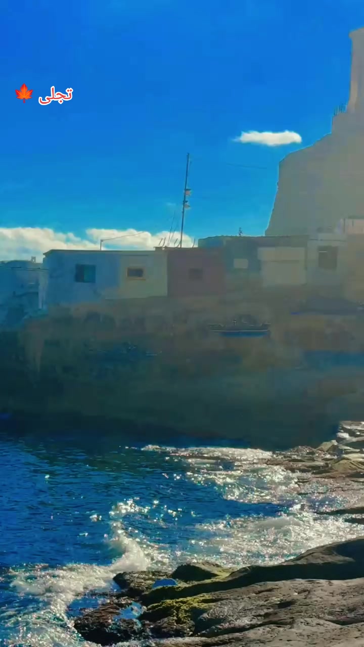 @تحسین احمد راجہ  🔥