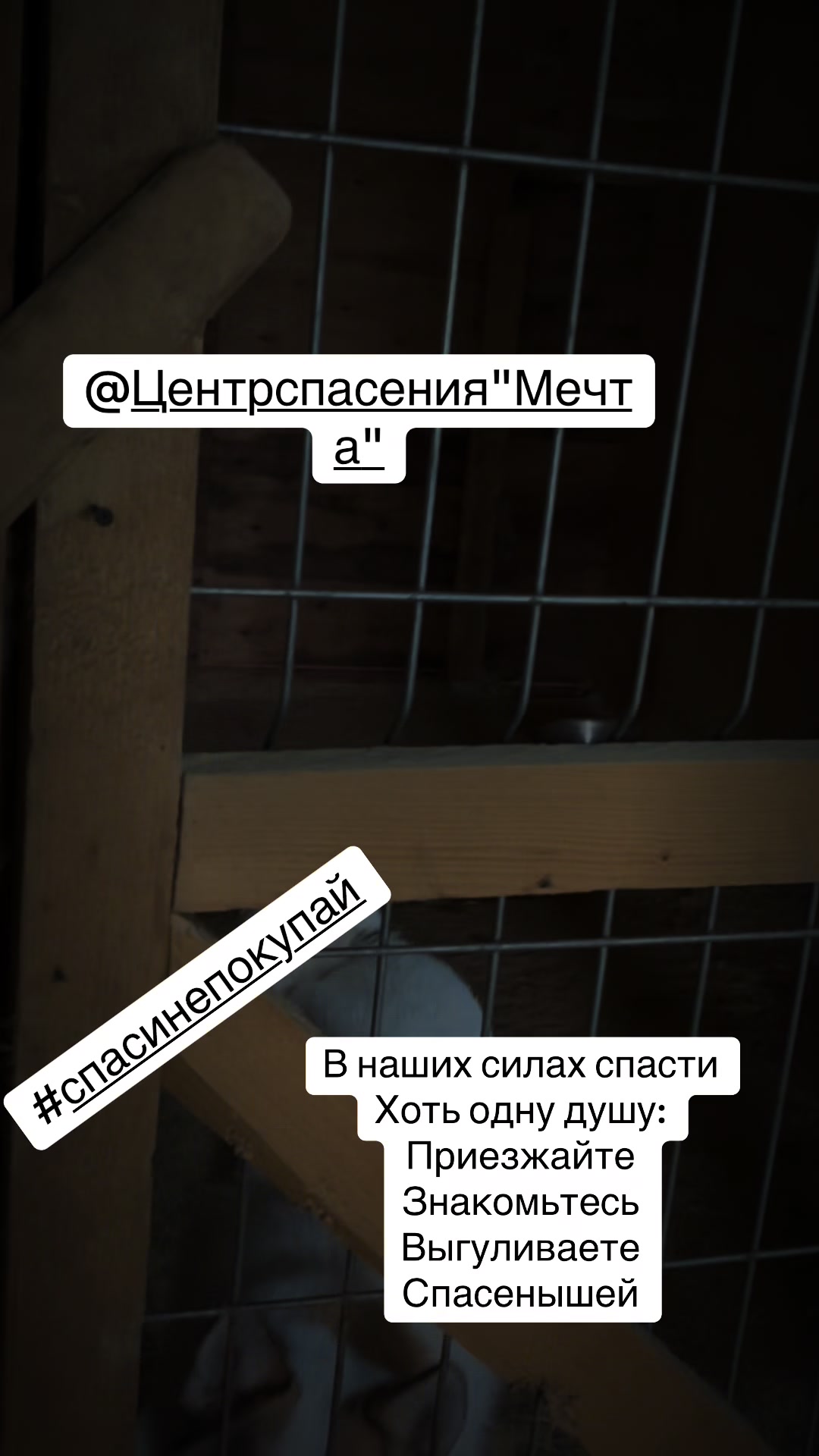 @cobachki_black