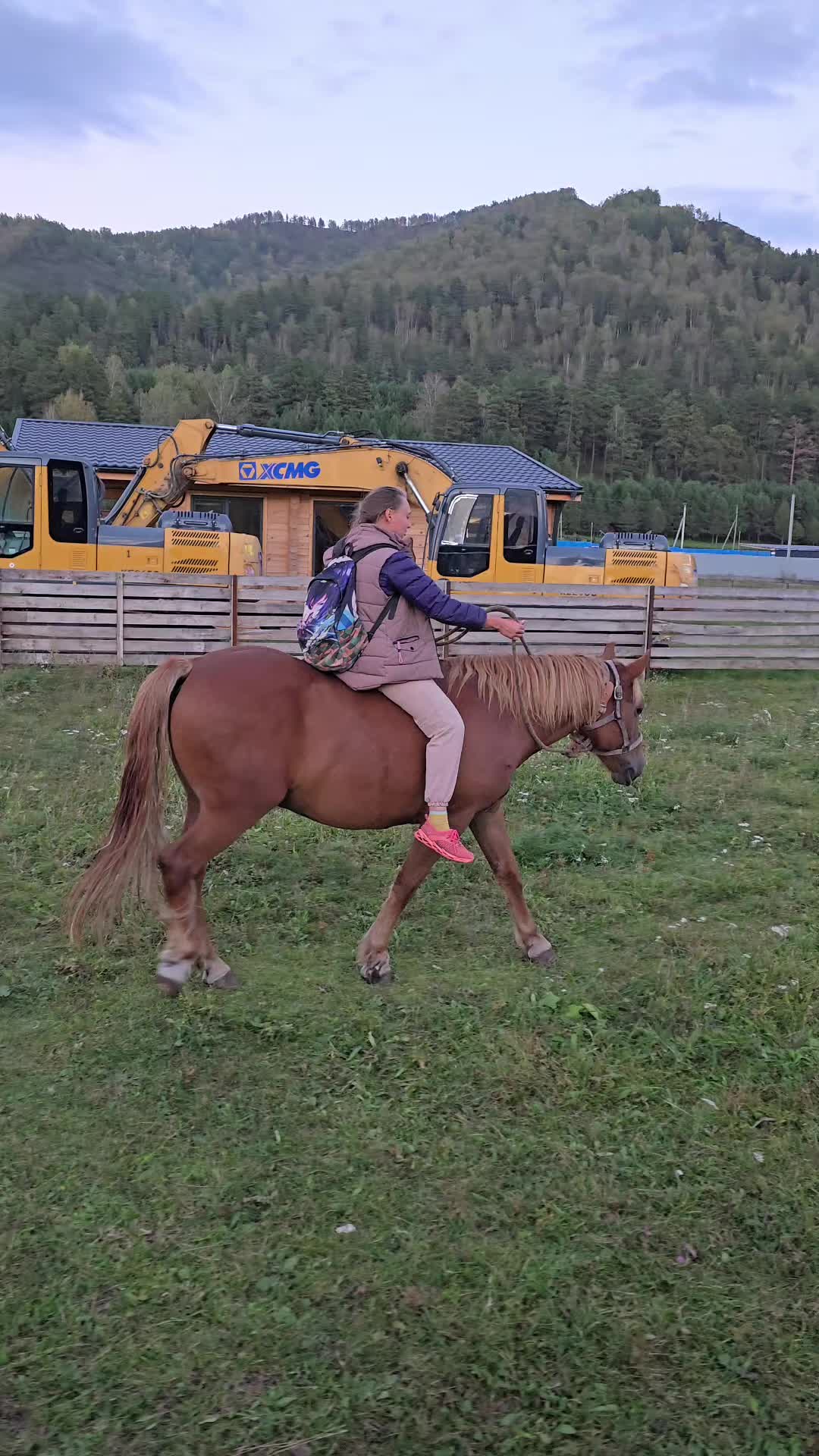 @tg: altaihorses