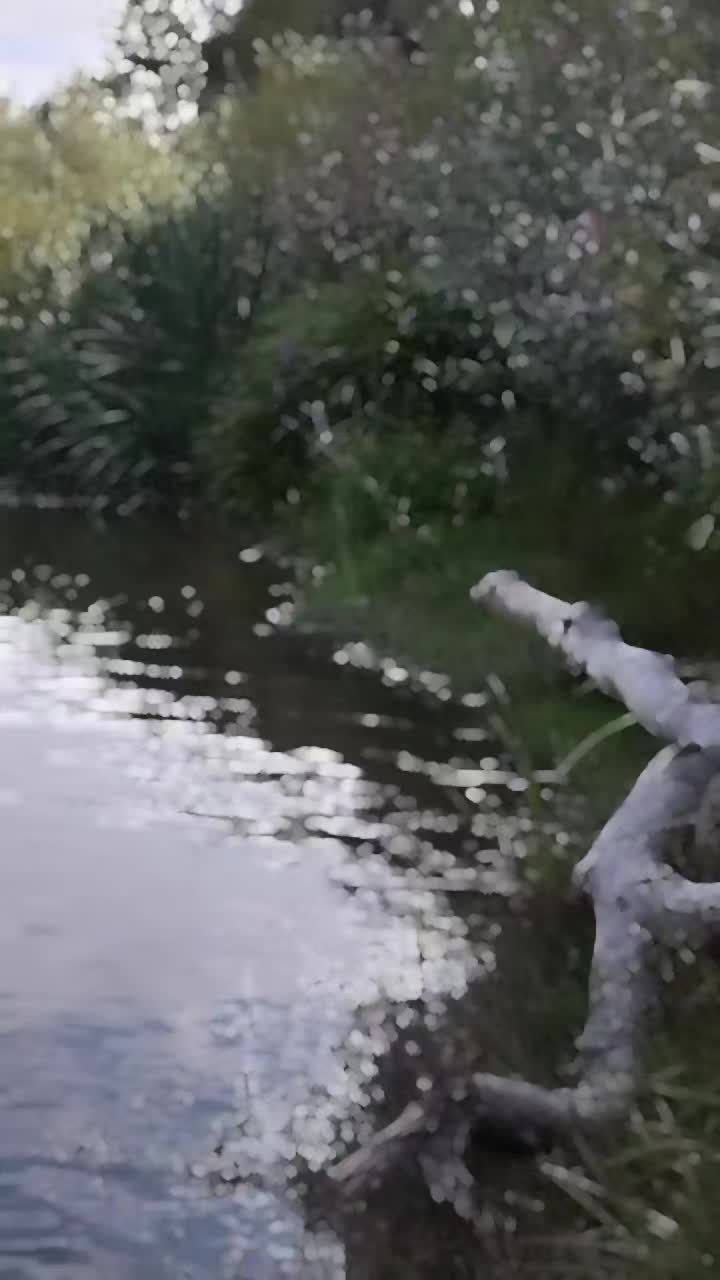@user2682528717011
