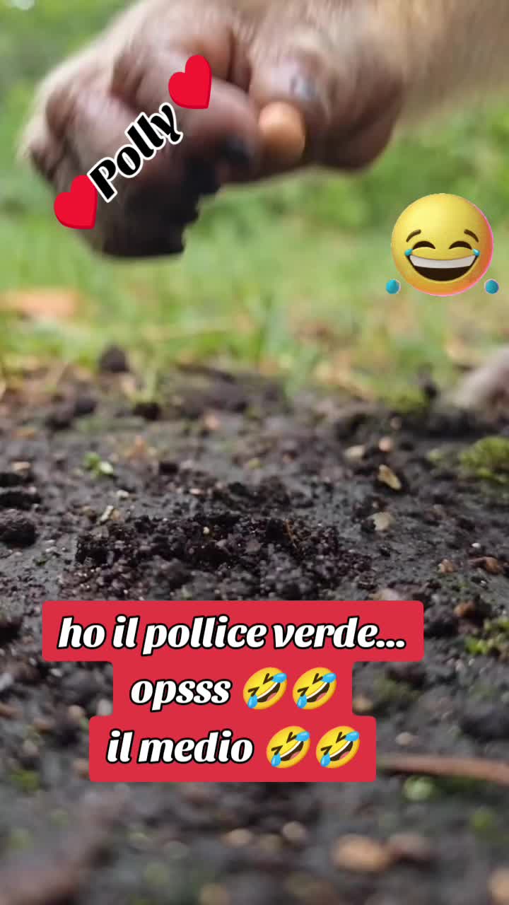 @♥️ POLLY ♥️