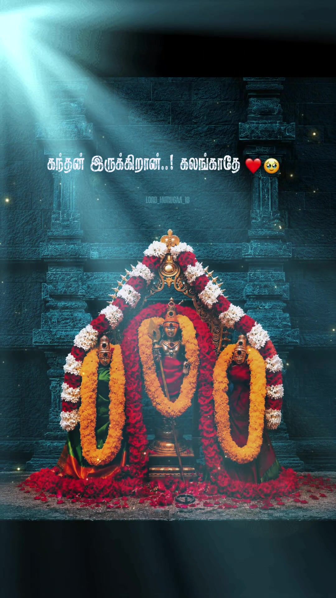 @Naga Rajan NT🫶♥💪