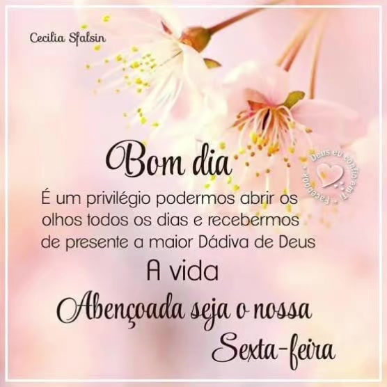 @Matheus Machado Scheibel