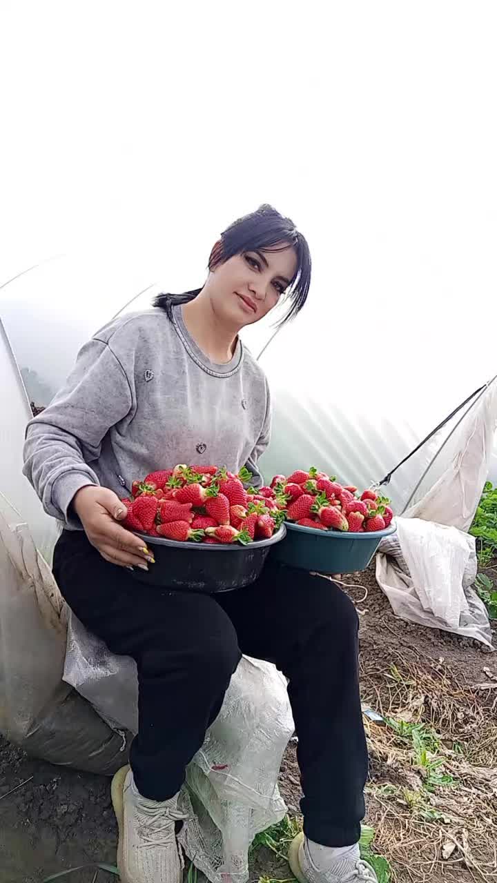 @Meri Sargsyan