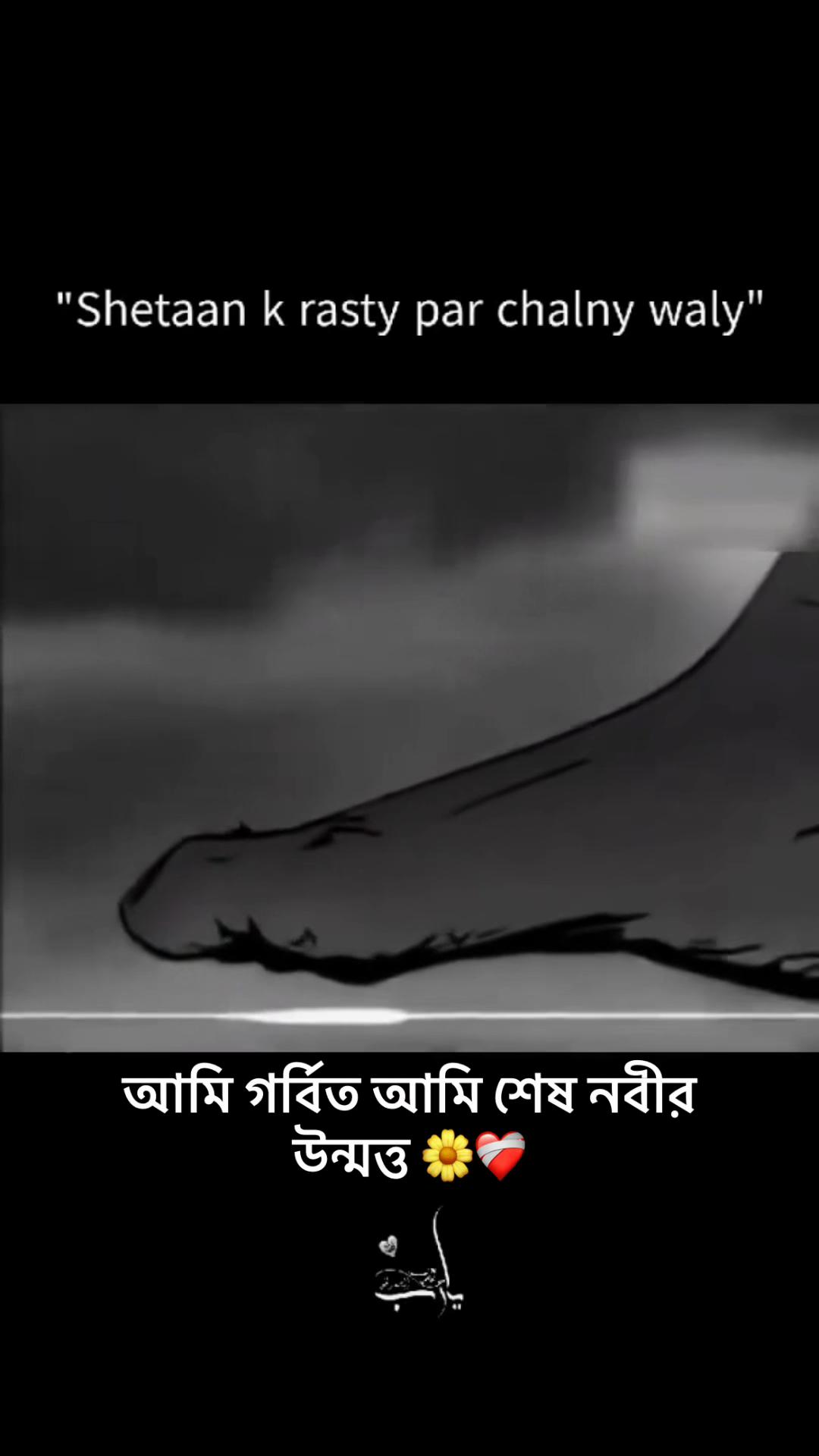@Raj Ahamed 🖤