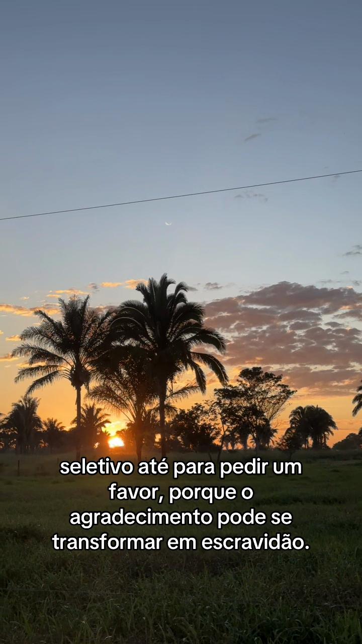 @diolina2_