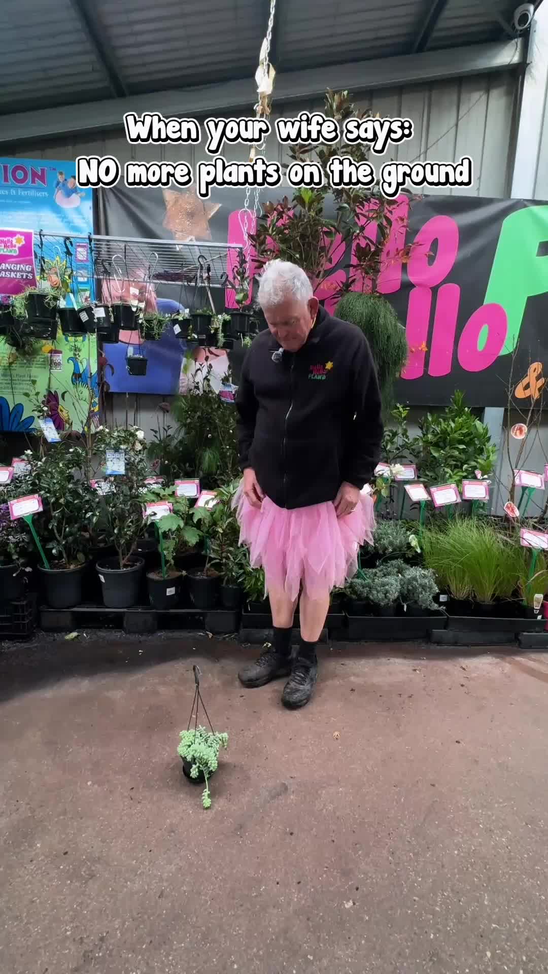 @Hello Hello Plants Nursery