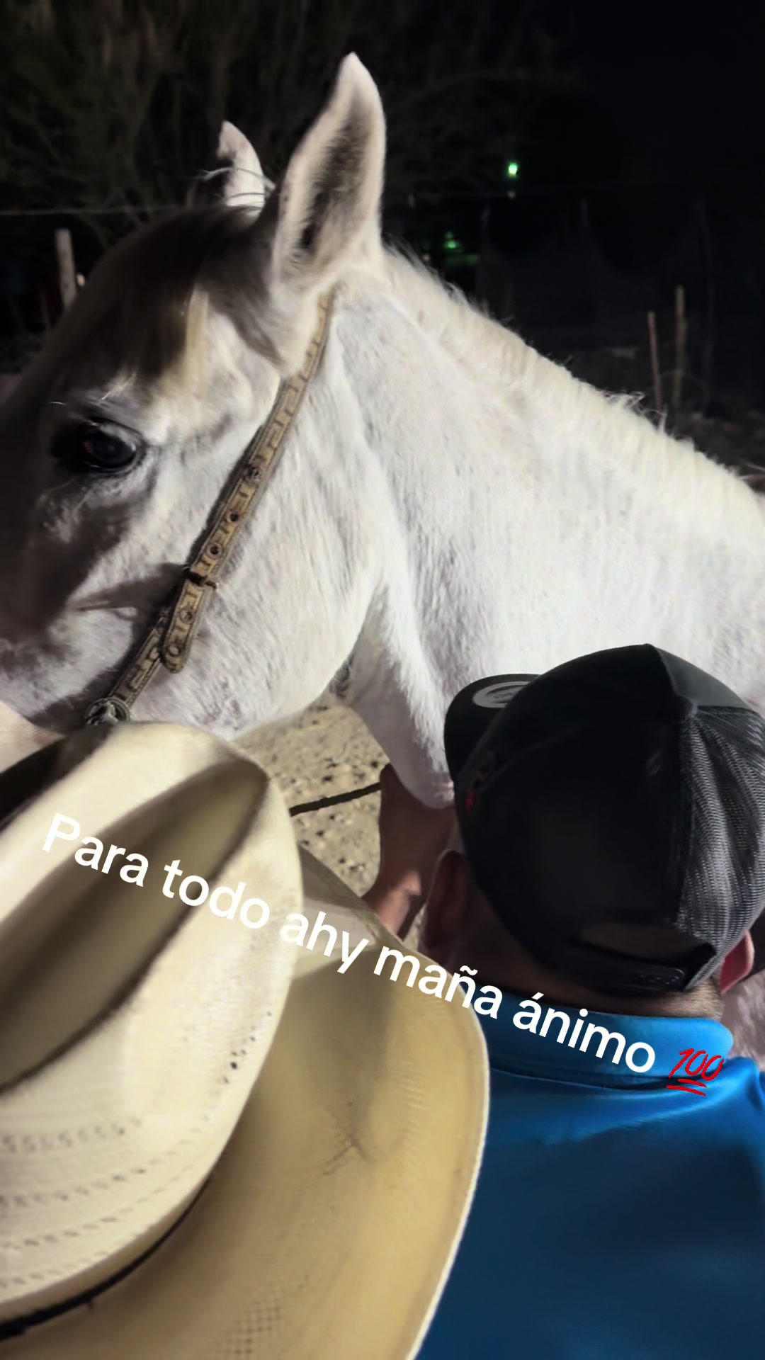 @Victor