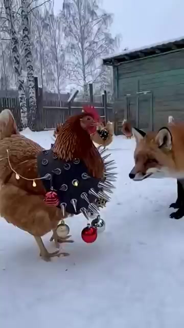 @Джони Трэп