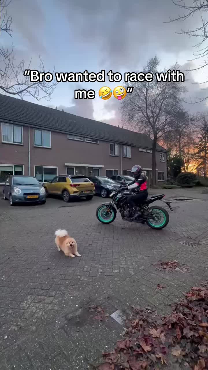 @mt-0Demi🤪