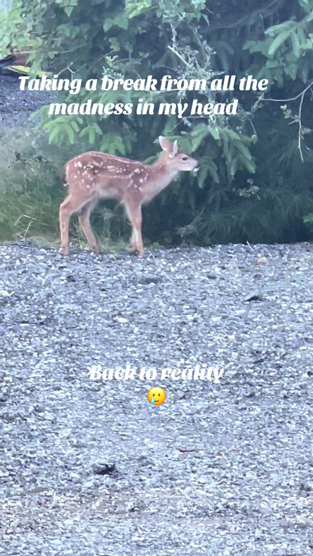 @🇨🇦 Ernie 🇨🇦
