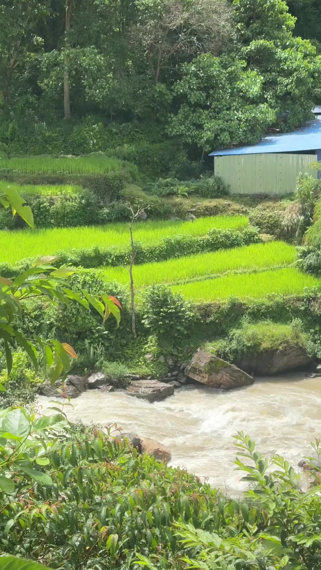 @Basnet Bey-Lu ❤️