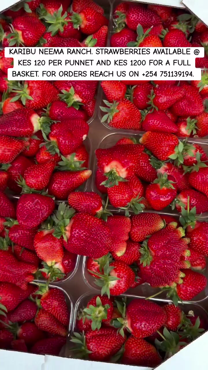 @NEEMA RANCH